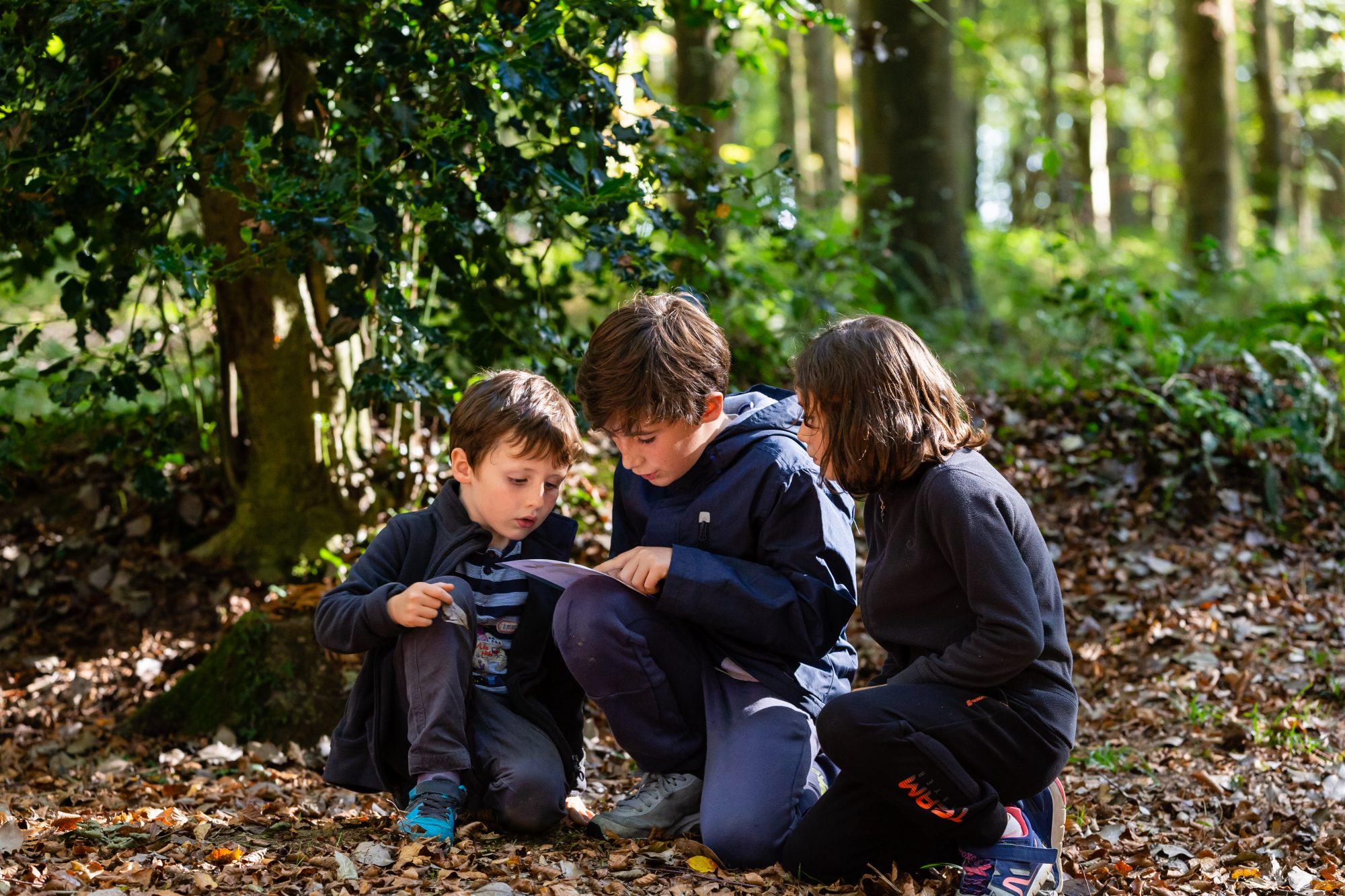 animations enfant Maison de la foret Cerisy cueillette champignon foret de cerisy balade en foret de cerisy Montfiquet Balleroy foret de Cerisy, près de Balleroy ©T.Houyel Isigny Omaha Tourisme animations enfant Maison de la foret Cerisy cueillette champignon foret de cerisy balade en foret de cerisy Montfiquet Balleroy foret de Cerisy, près de Balleroy ©T.Houyel Isigny Omaha Tourisme