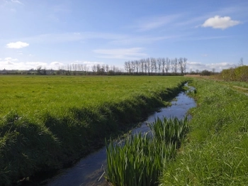   marais de l aure 