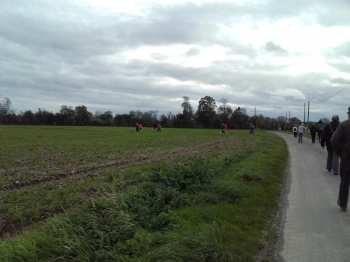   rando automnale Géfosse-Fontenay 2017 (6) 