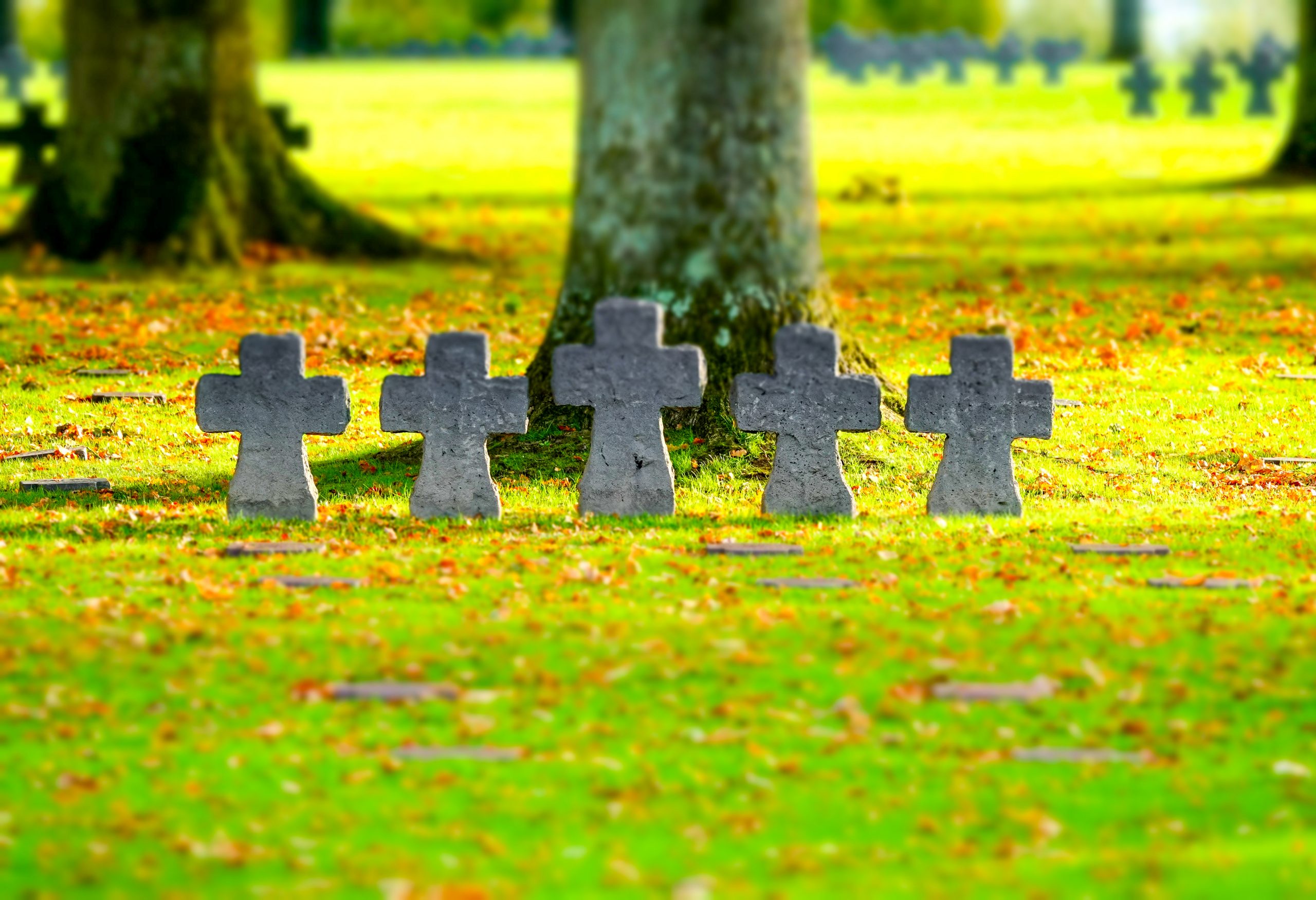 Cimetière Allemand - La Cambe