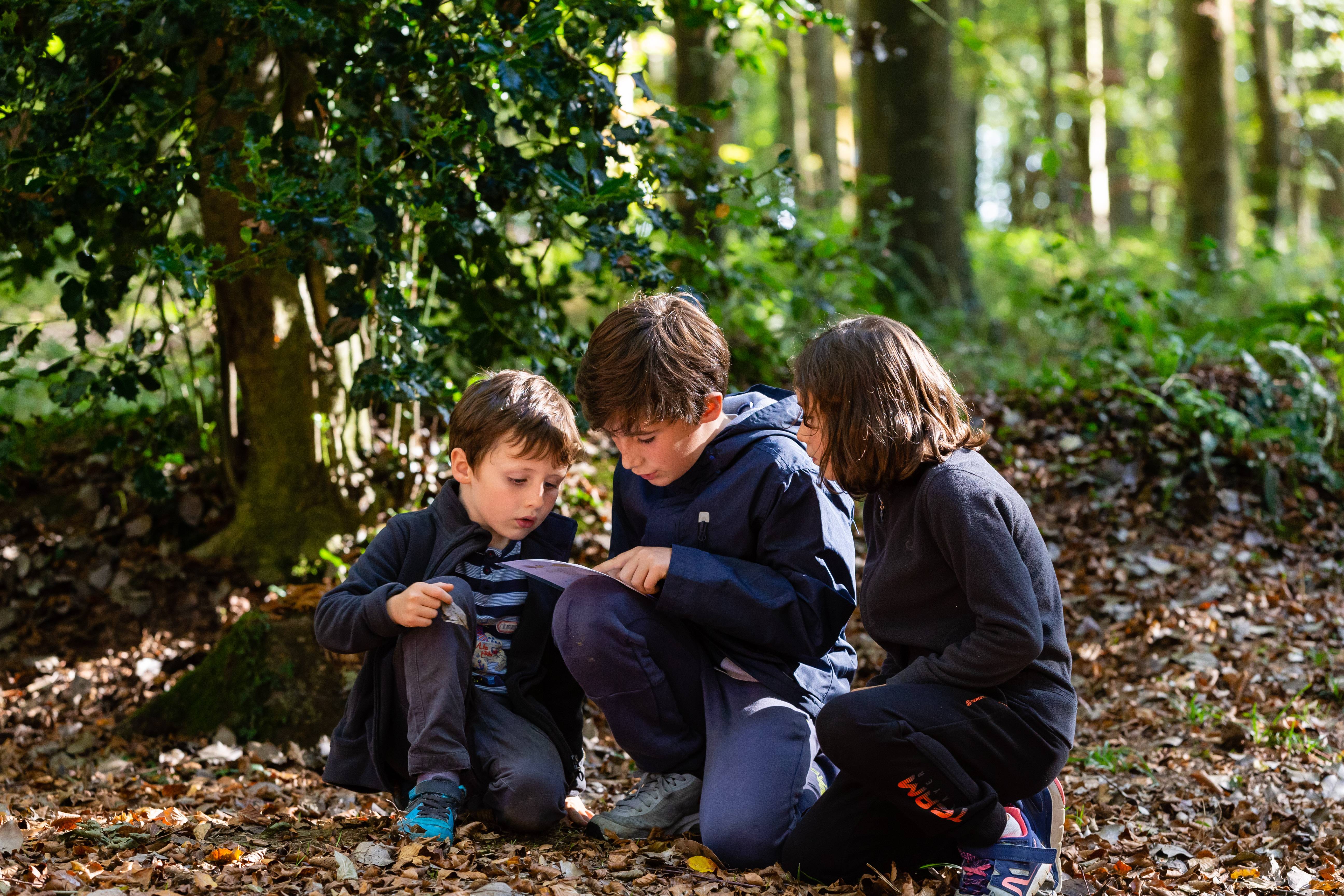 Forêt Cerisy Isigny-Omaha Tourisme Calvados