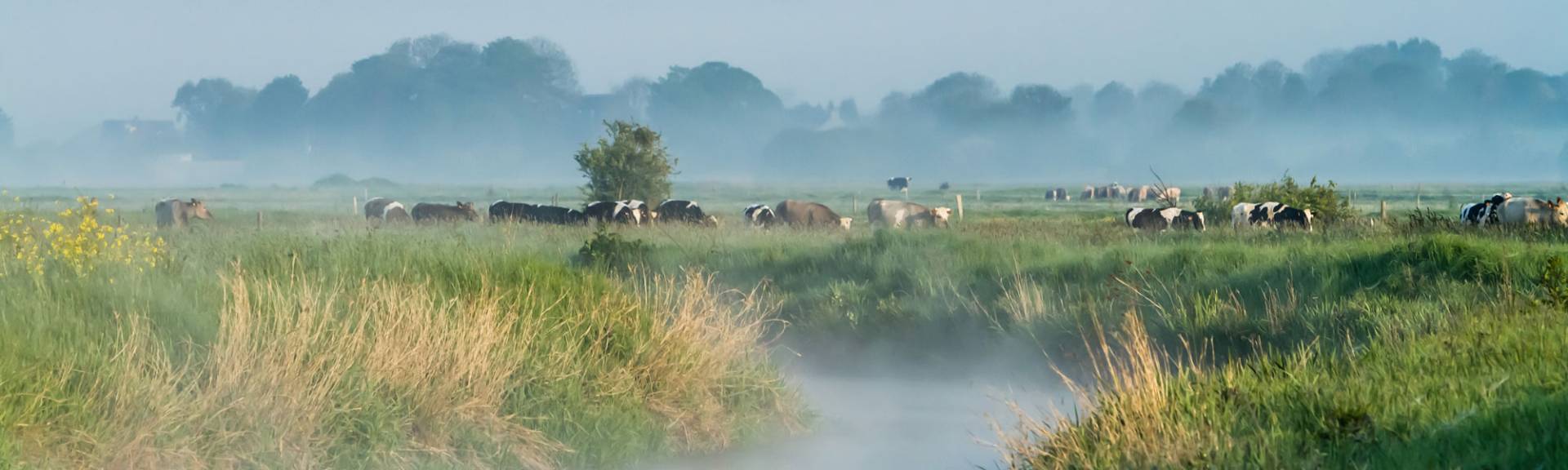 les marais Isigny-Omaha Tourisme Normandie