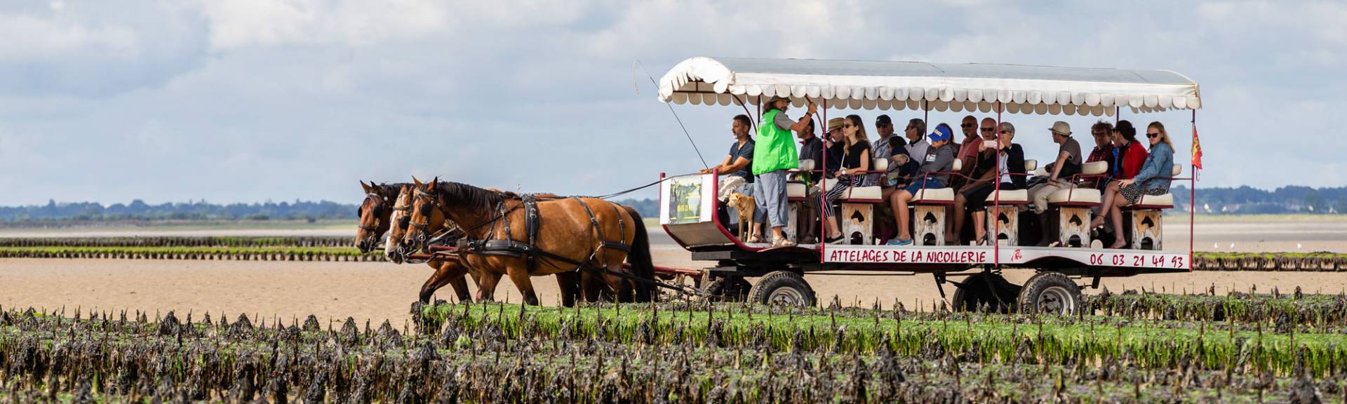 Huîtres Isigny-Omaha Tourisme Calvados